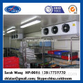 food processing cold freezer storage room